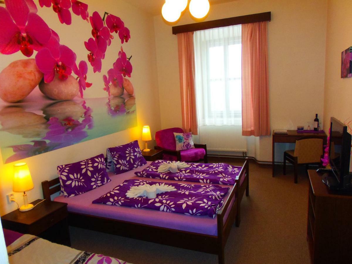 Hotel Stara Skola Na Sumave Hořice na Šumavě المظهر الخارجي الصورة